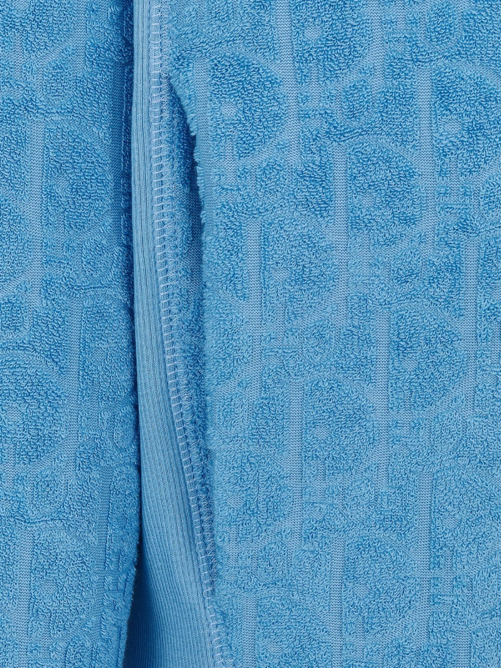 Dior Oblique Hooded Sweatshirt Terry Blue